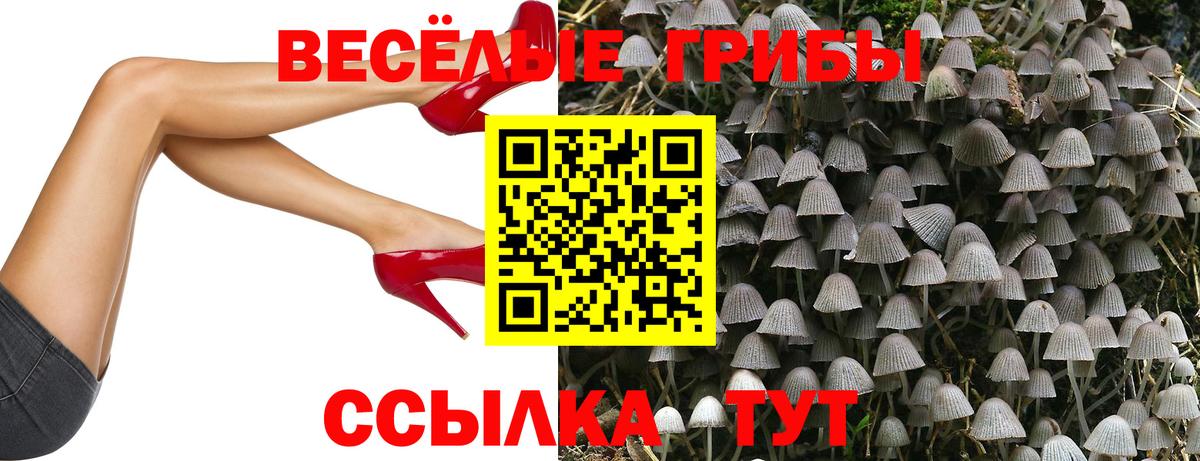 Галлюциногенные грибы мицелий  Вход с VPN  Нальчик 