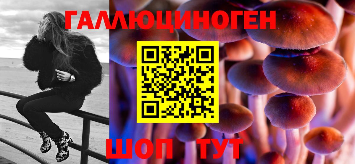 Псилоцибиновые грибы GOLDEN TEACHER Нальчик