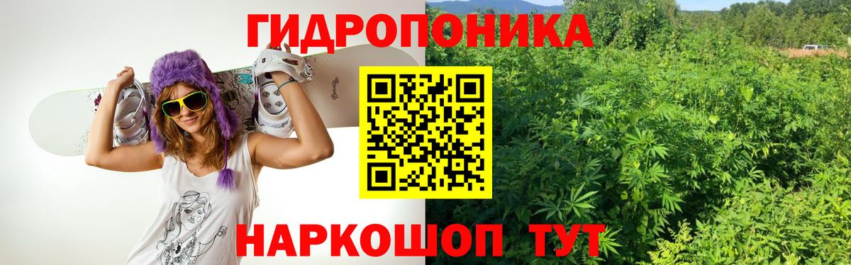 Шишки марихуана планчик  Каннабис SATIVA & INDICA  Нальчик  Бошки Шишки конопля  Вход с VPN 